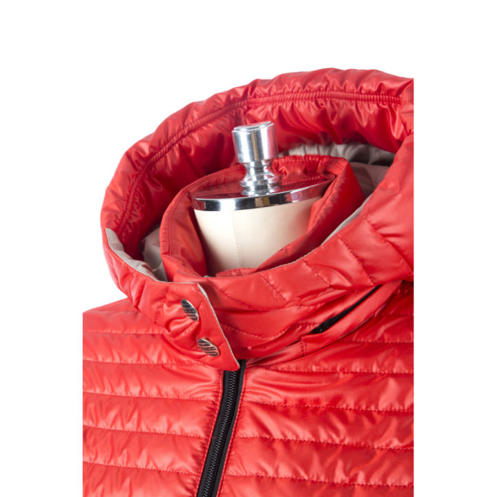 Veste liris animo
