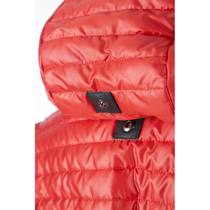 Veste liris animo