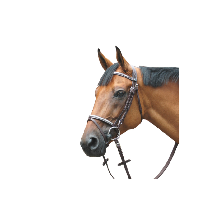 Bridon deauville combi
