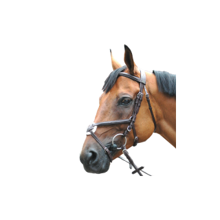 Bridon royan croise