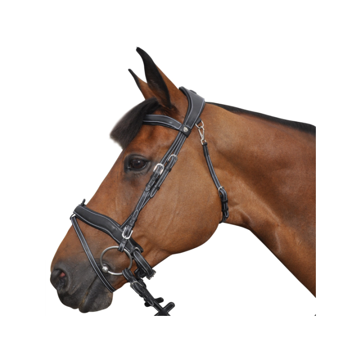 Bridon f&c confort combi