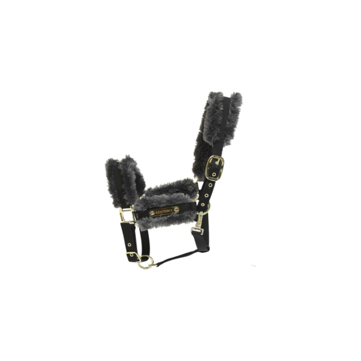 Licol nylon mouton kentucky