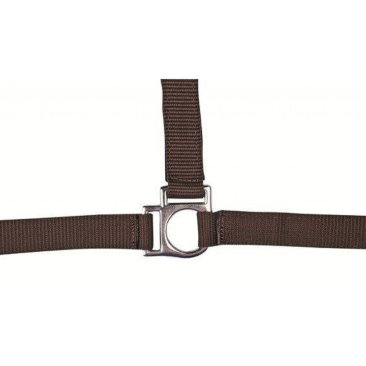 Licol stars  taille cheval