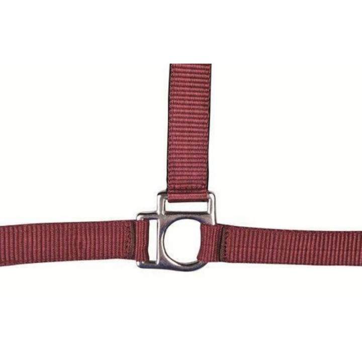 Licol stars  taille cheval