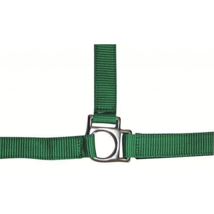 Licol stars taille pur-sang
