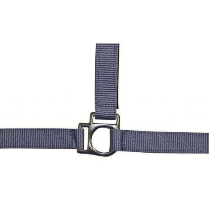 Licol stars taille pur-sang