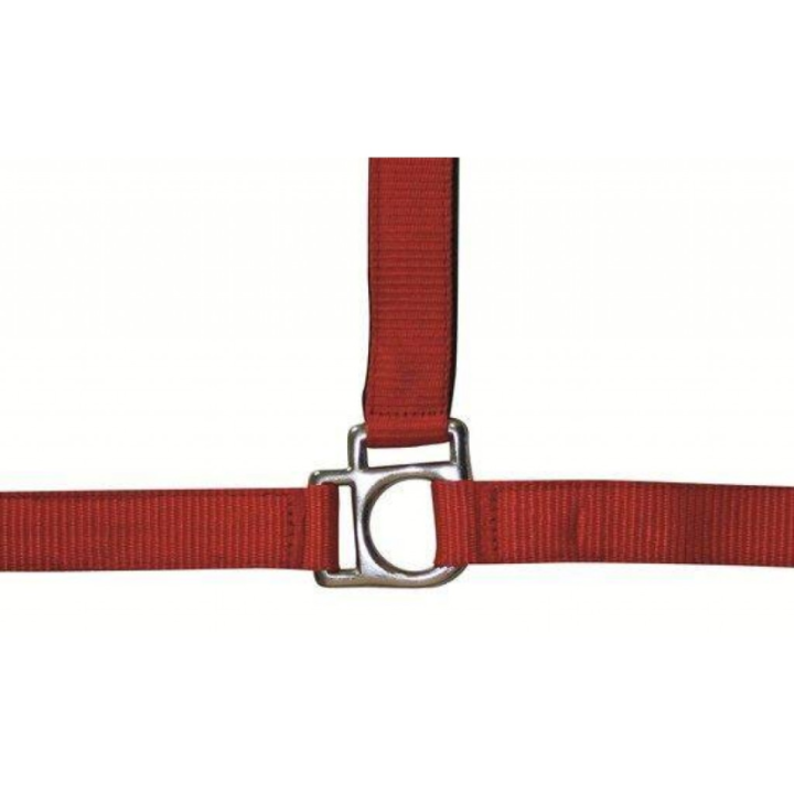 Licol stars taille poney