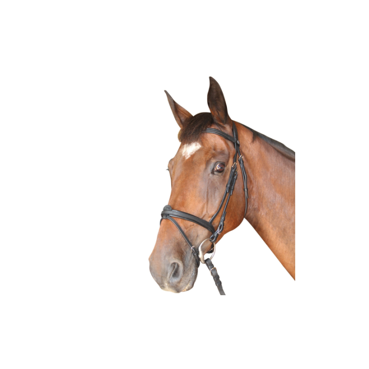 Bridon cabourg combi