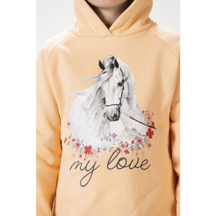 Sweat horse spirit