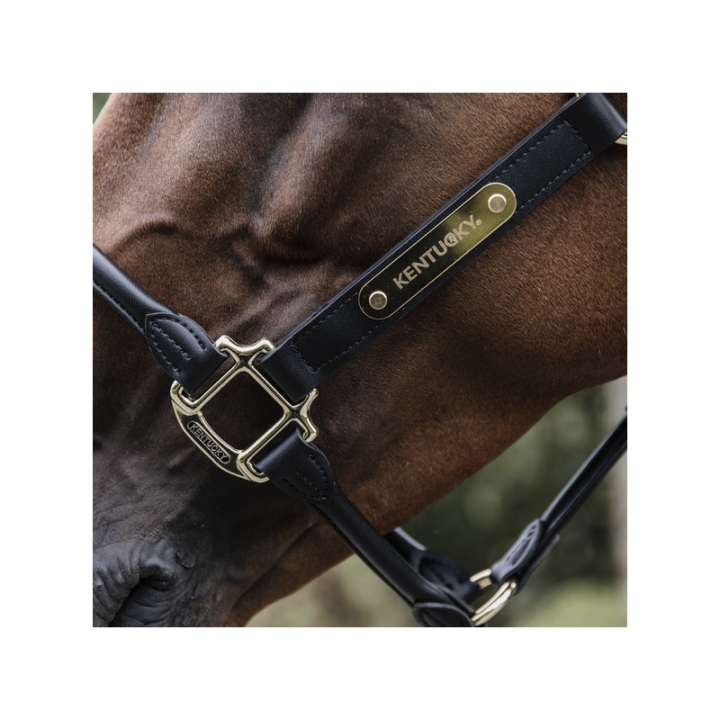 Licol anatomic kentucky