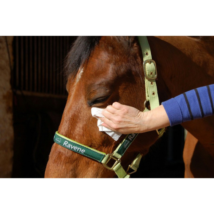 Easy shine lingettes nettoyantes x25