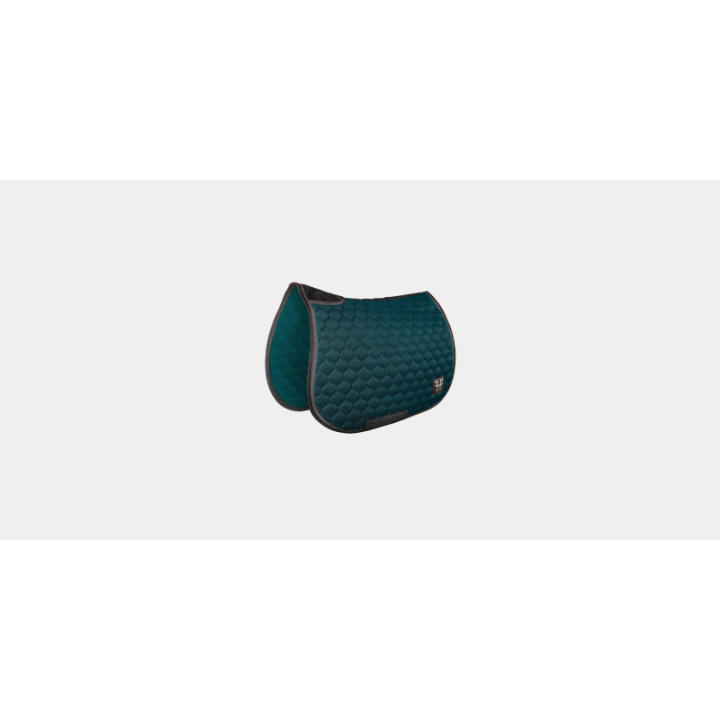 Tapis aerotech horse pilot