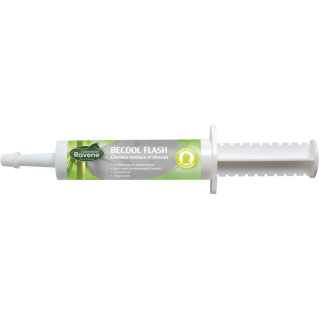Becool flash 30ml
