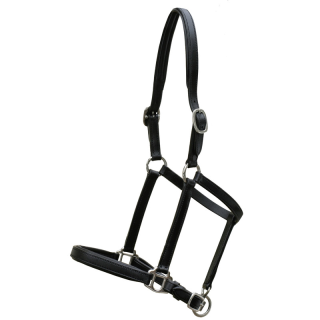 Licol cuir natural line foal s noir