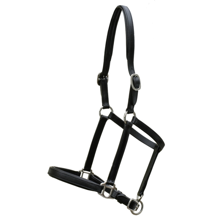 Licol cuir natural line foal s noir