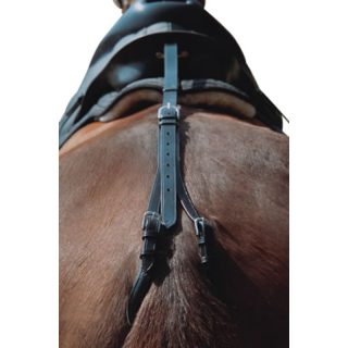 Croupiere euro-club brun pony