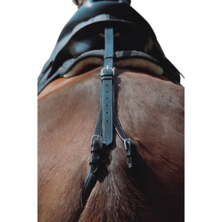 Croupiere euro-club brun pony
