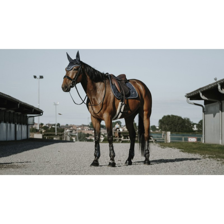 Bonnet anti mouche french poney