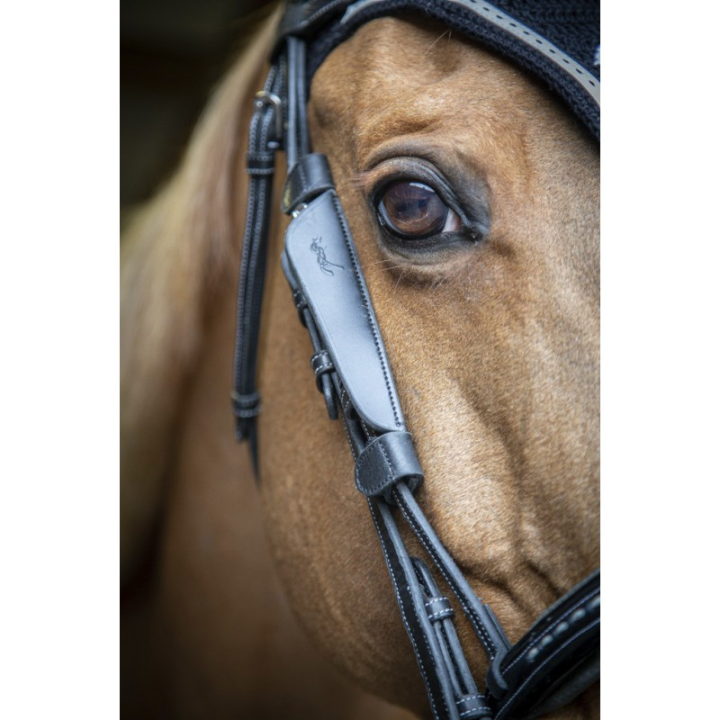 Oeilleres penelope blinkers