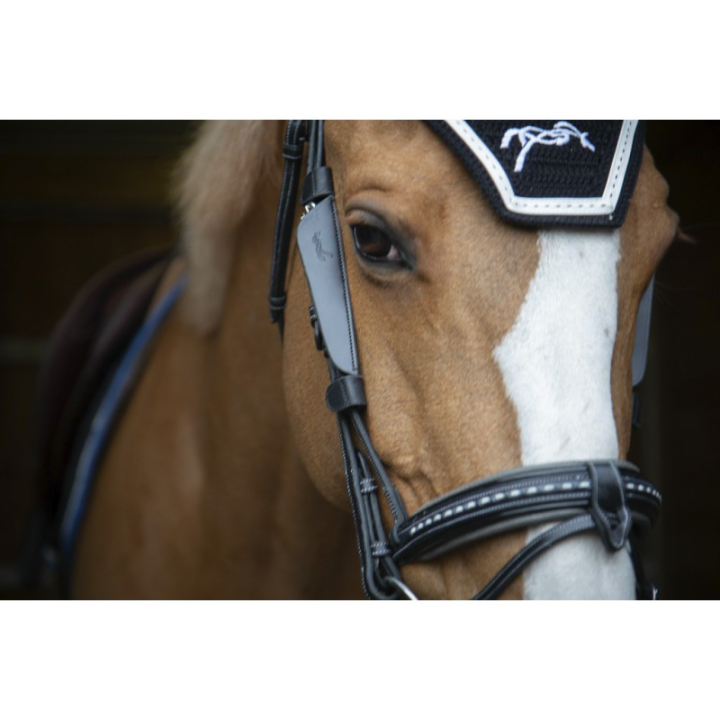Oeilleres penelope blinkers