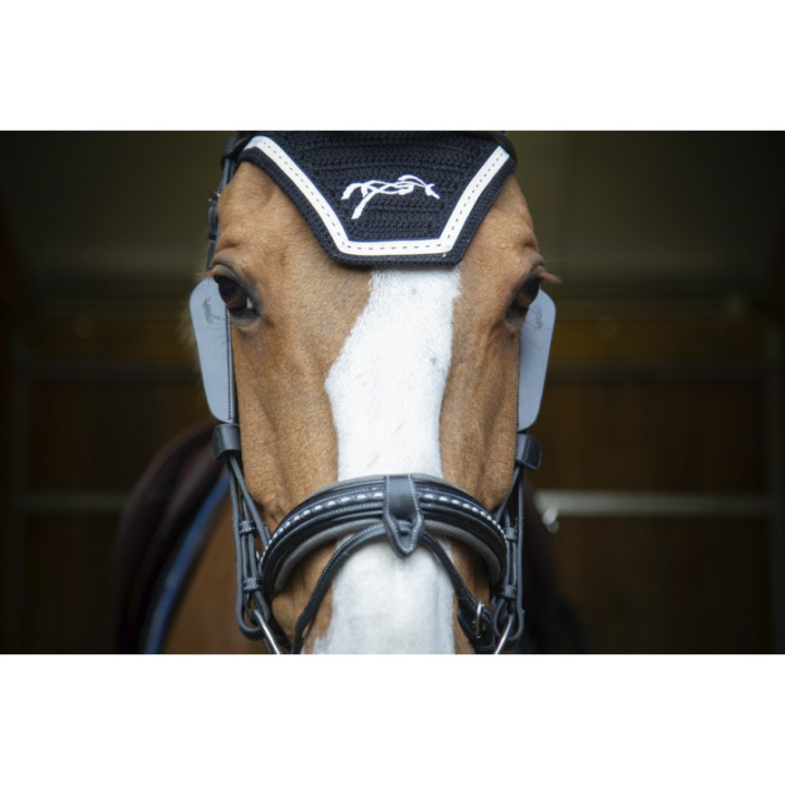 Oeilleres penelope blinkers