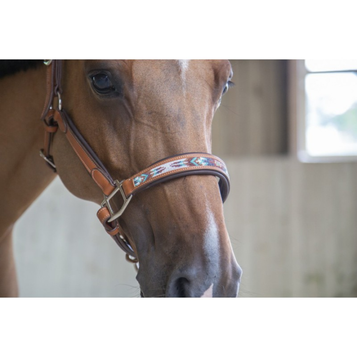 Licol cuir penelope pearl
