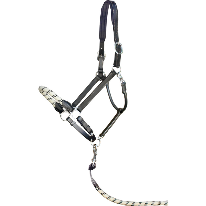 Licol rope euro club