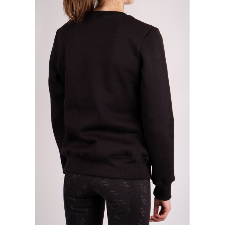 Sweat sawyer logo montar