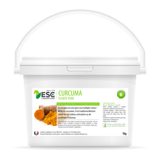 Curcuma 1kg