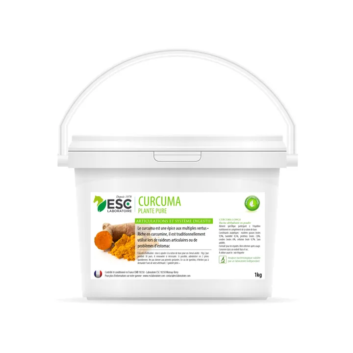 Curcuma - articulation et digestion 1kg