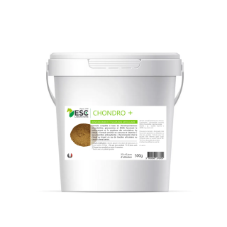 Chondro + renforcement et souplesse 500g
