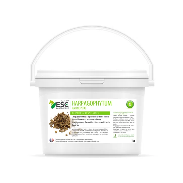 Harpagophytum plante pure 1kg