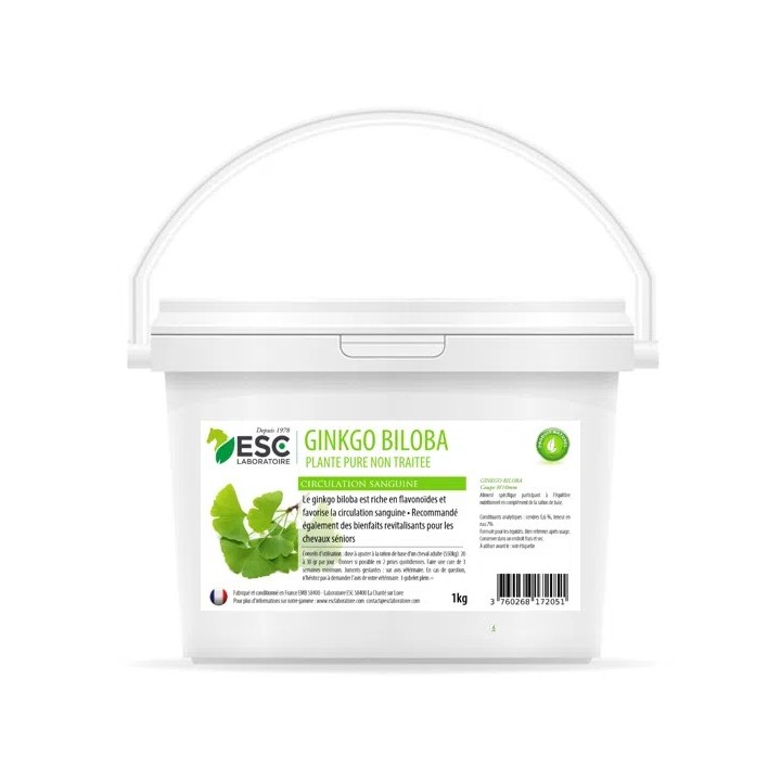 Ginkgo biloba 1kg