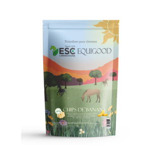 Chips de banane 500gr
