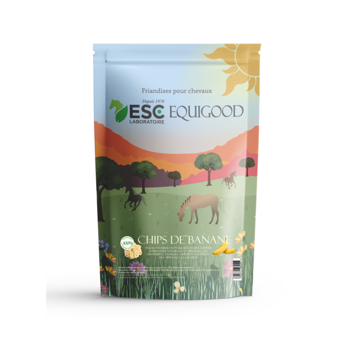 Chips de banane 500gr