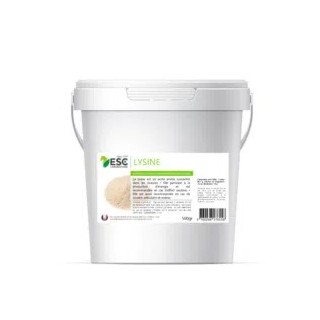 Lysine+ soutien de l'effort 1kg