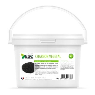 Charbon vegetal confort intestinal
