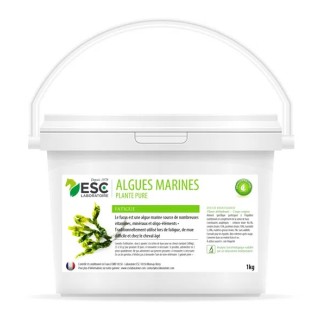 Algues marines 1kg