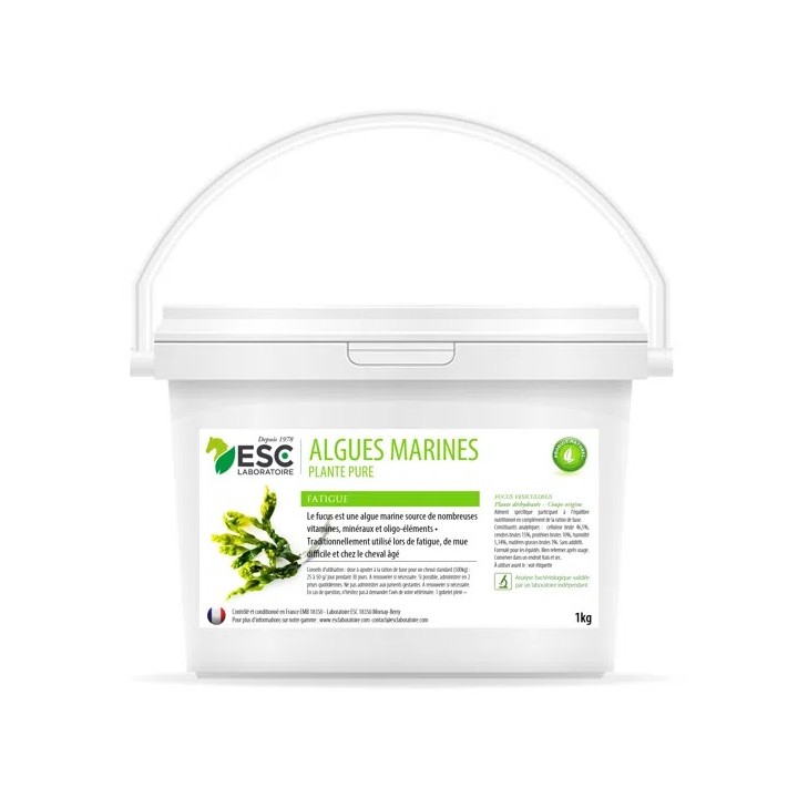 Algues marines 1kg