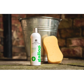 Shampoing antibacterien gallop carr & day 500ml
