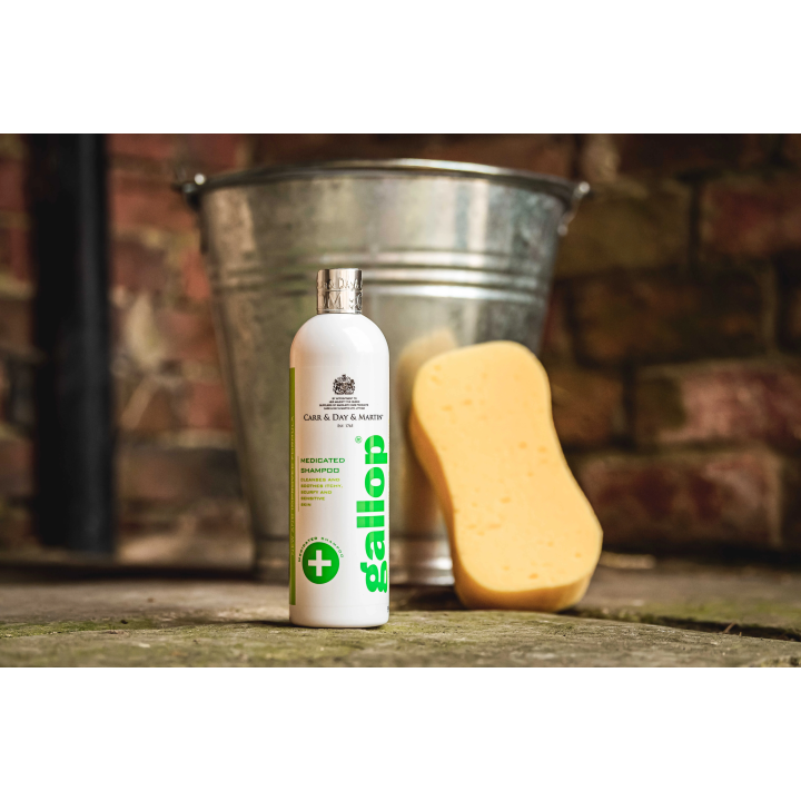 Shampoing antibacterien gallop carr & day 500ml