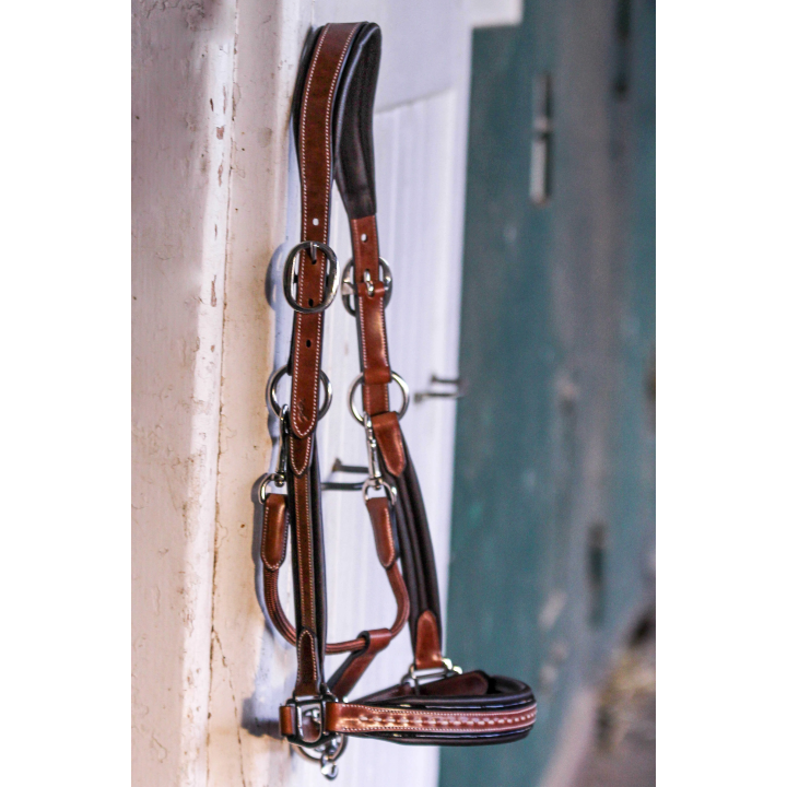 Licol cuir penelope point sellier