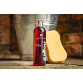 Shampoing gallop brun carr & day 500ml