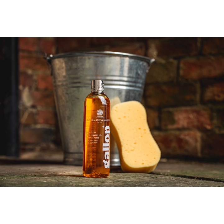 Shampoing gallop noisette et palomino carr & day 500ml