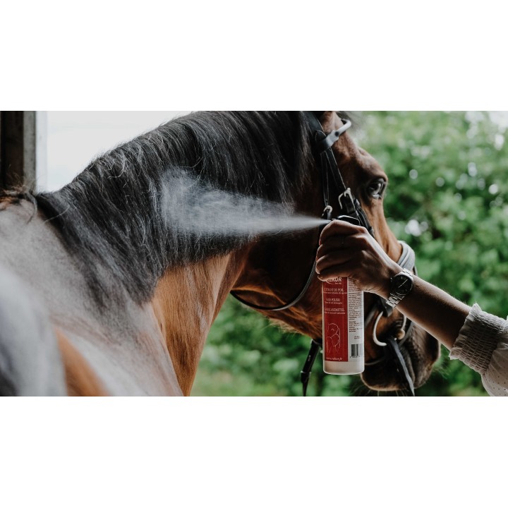 Demelant lustr show coat 500ml