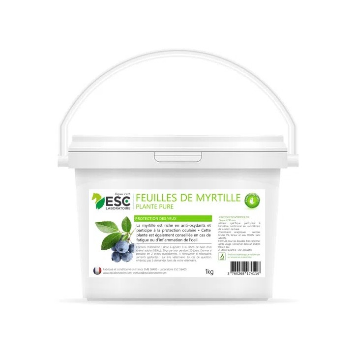 Feuilles de myrtilles