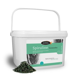 Spiruline vermicelle 1kg