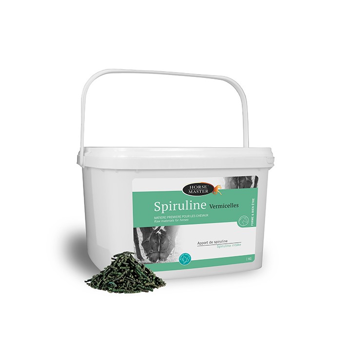 Spiruline vermicelle 1kg