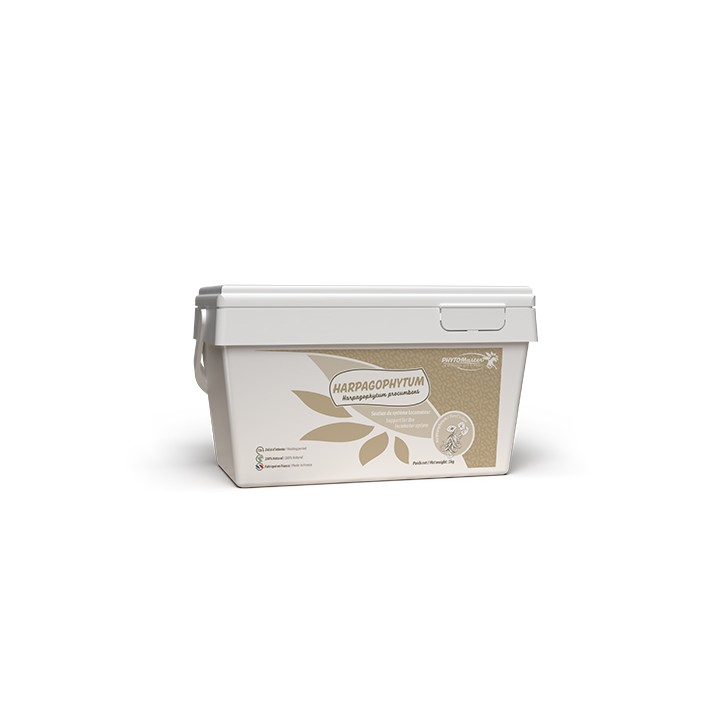 Harpagophytum semoulette 1kg