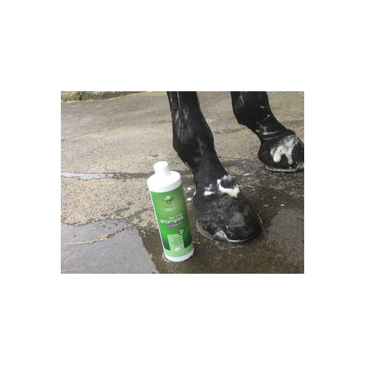 Shampoo tea tree animaderm 500ml